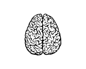 Illustration Brain